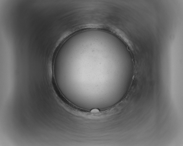 X0000111940011200908031147