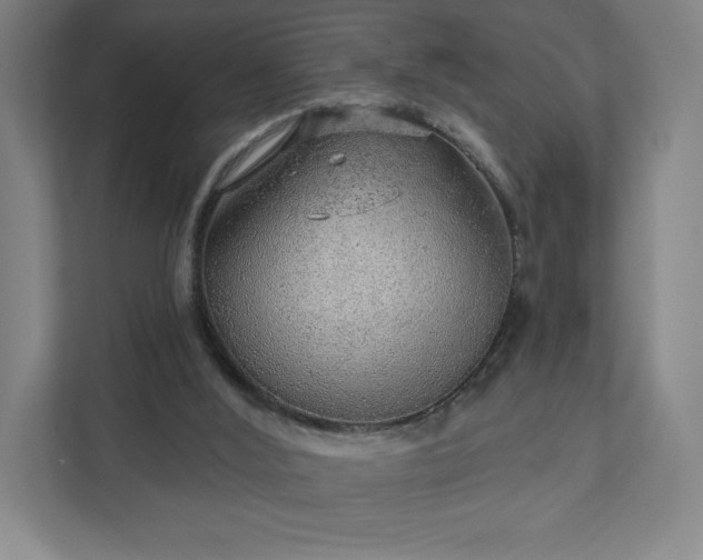 X0000111940012200908031147