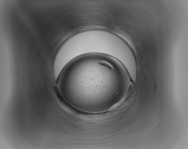 X0000111940013200908031147