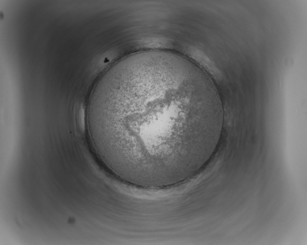 X0000111940014200908031147