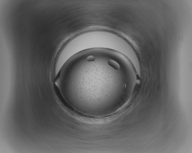 X0000111940015200908031147