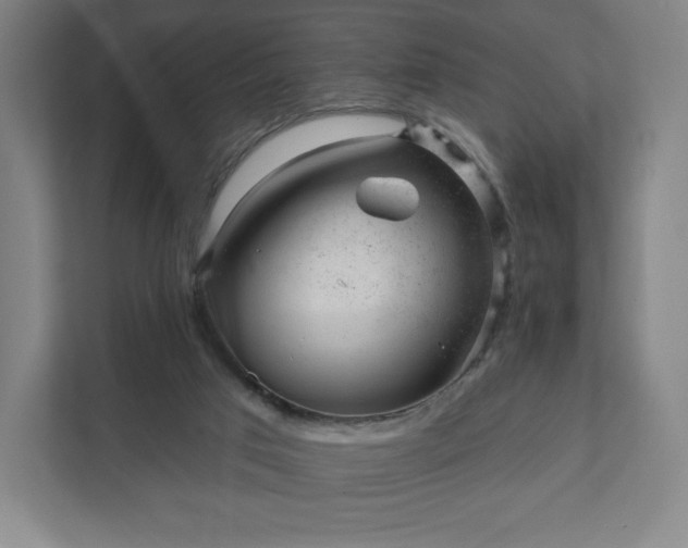 X0000111940017200908031147