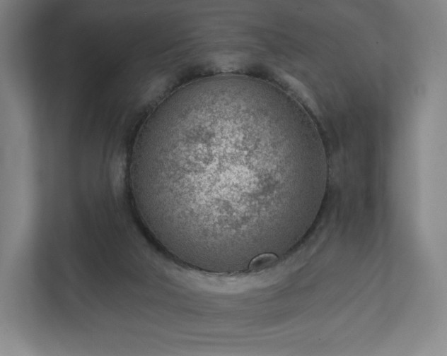 X0000111940018200908031147