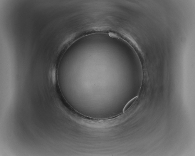 X0000111940019200908031147