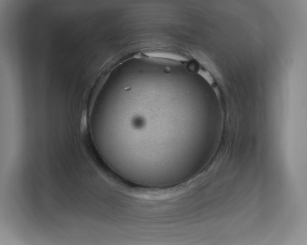 X0000111940021200908031147