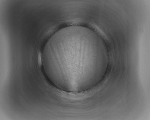 X0000111940022200908031147