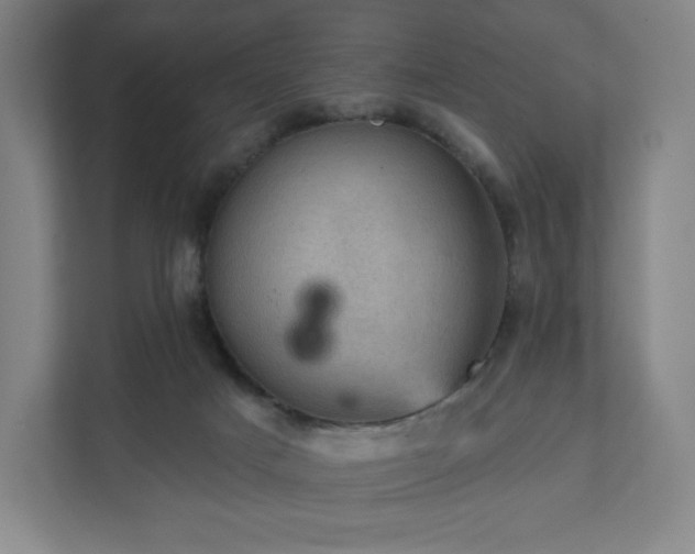 X0000111940025200908031147