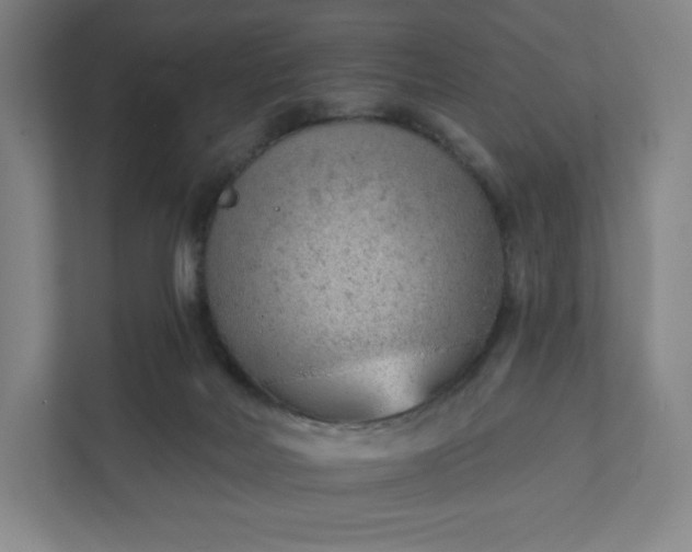 X0000111940026200908031147