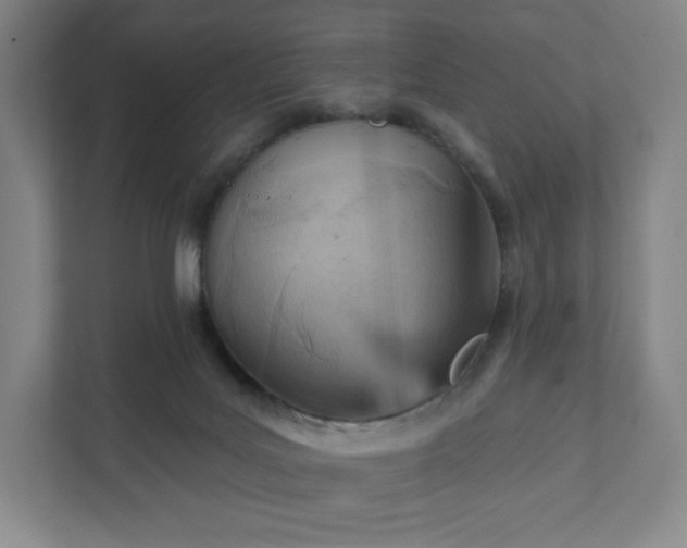 X0000111940027200908031147