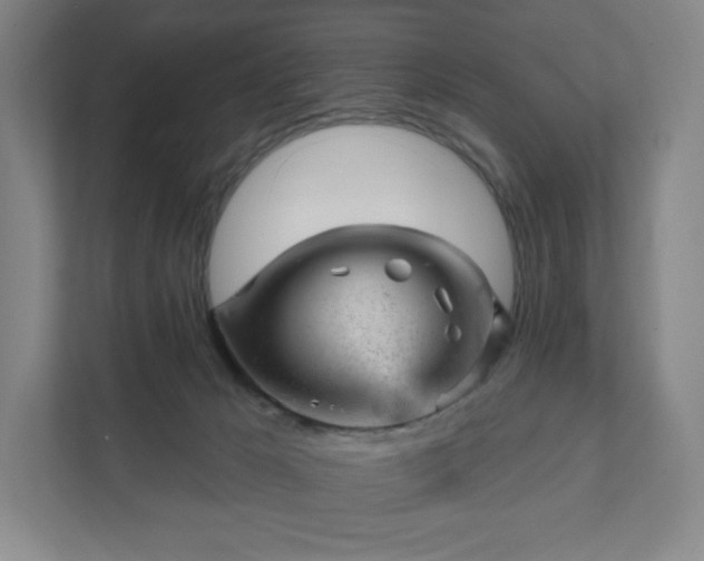 X0000111940029200908031147