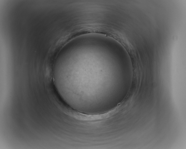 X0000111940031200908031147