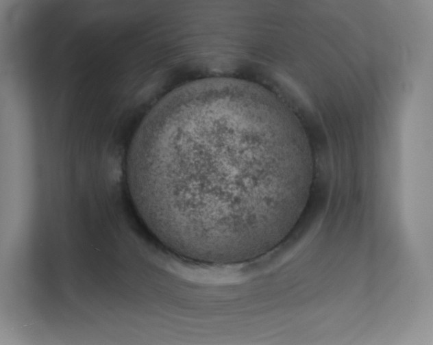 X0000111940032200908031147