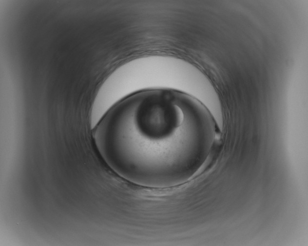 X0000111940033200908031147