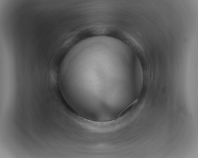 X0000111940035200908031147