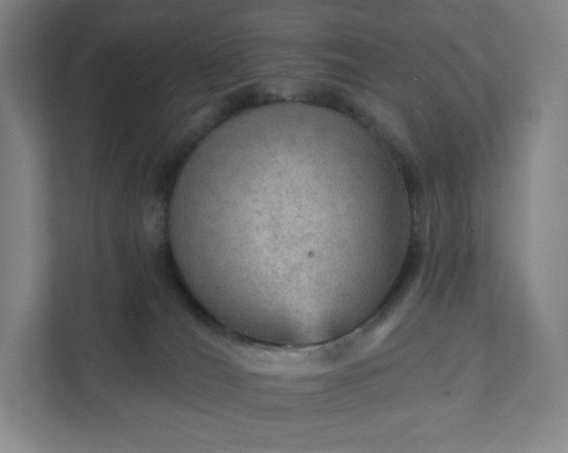 X0000111940036200908031147