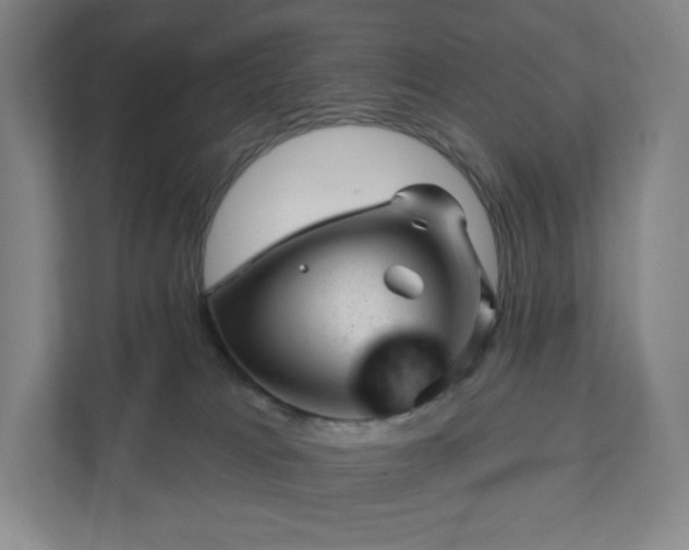 X0000111940037200908031147