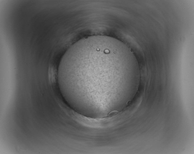 X0000111940038200908031147