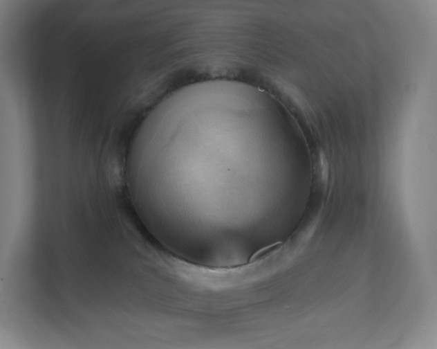 X0000111940039200908031147