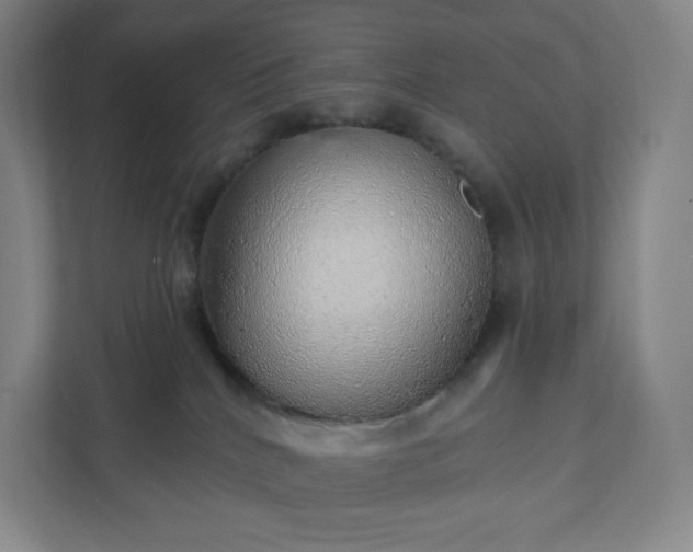 X0000111940040200908031147