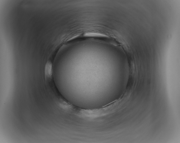 X0000111940041200908031147