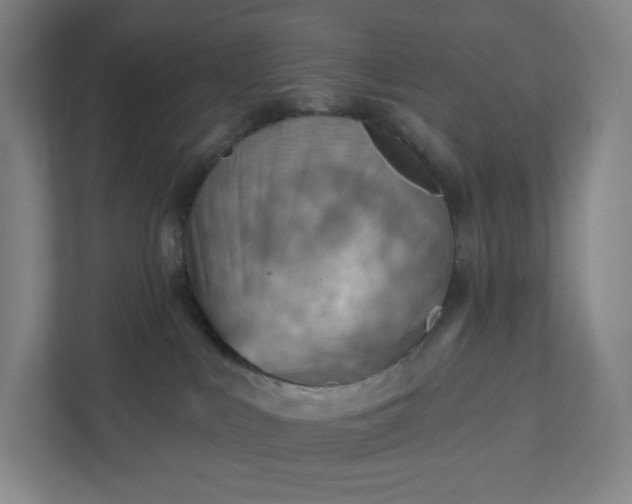 X0000111940043200908031147