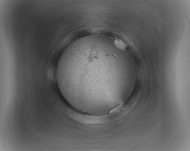 X0000111940044200908031147