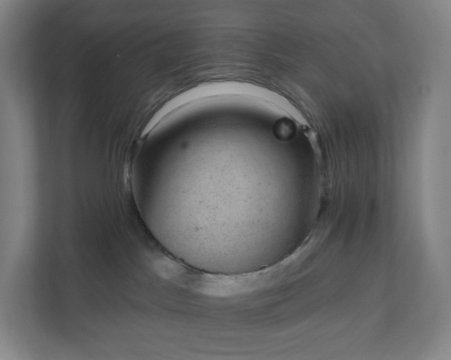 X0000111940045200908031147