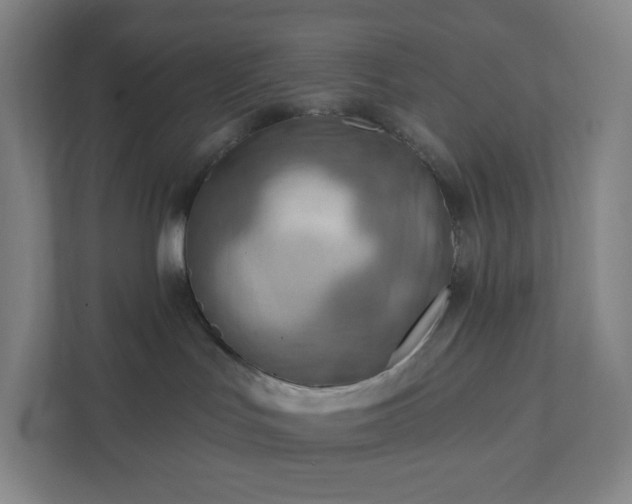 X0000111940047200908031147