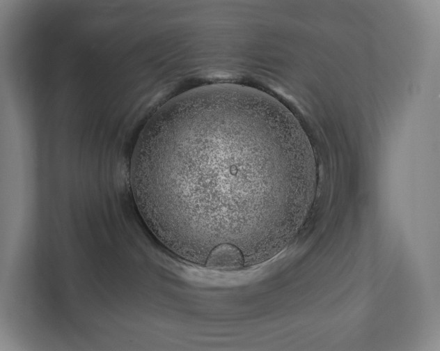 X0000111940048200908031147