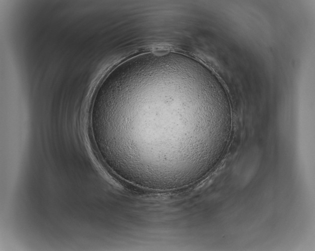 X0000111940049200908031146