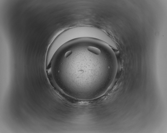 X0000111940052200908031146