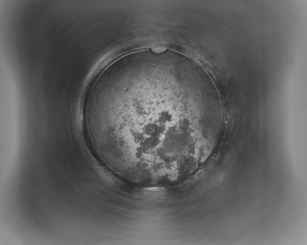 X0000111940053200908031146