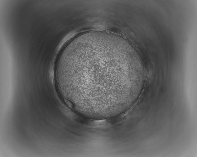 X0000111940054200908031146