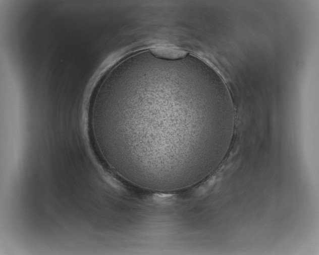 X0000111940055200908031146