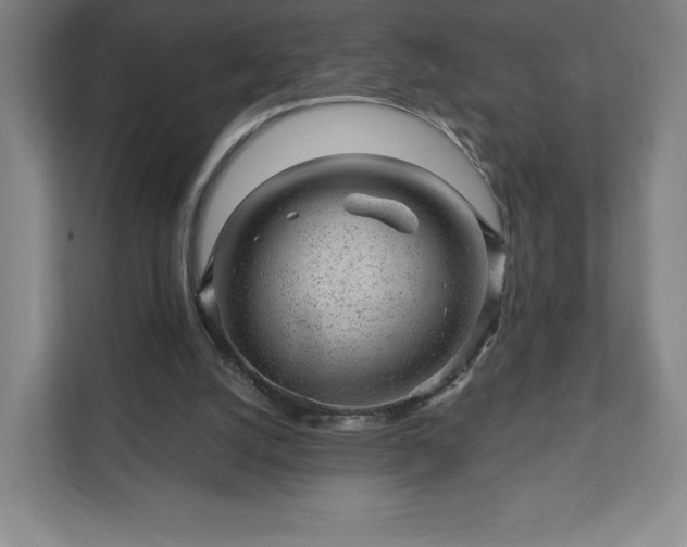 X0000111940056200908031146