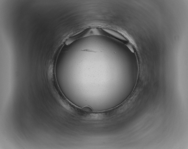 X0000111940057200908031146