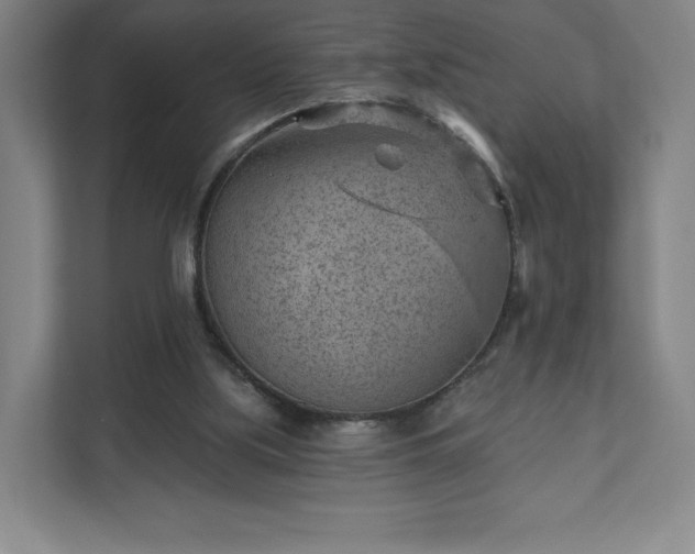 X0000111940059200908031146