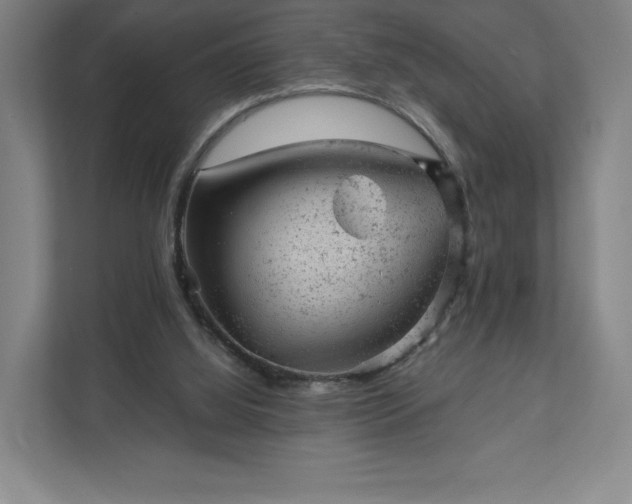 X0000111940060200908031146