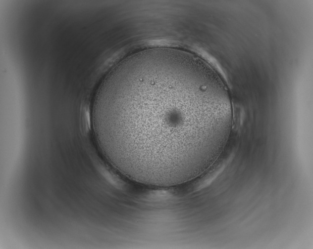 X0000111940061200908031146