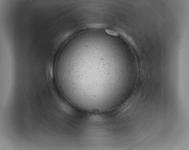 X0000111940062200908031146