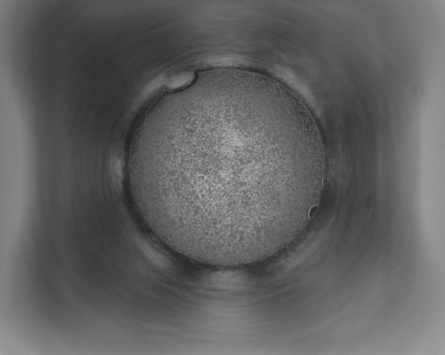 X0000111940063200908031146