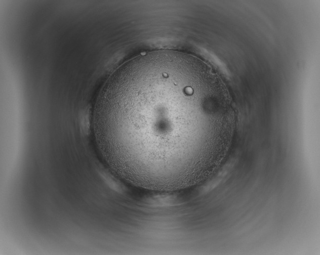 X0000111940065200908031146