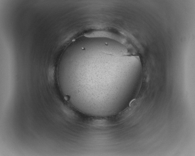 X0000111940066200908031146