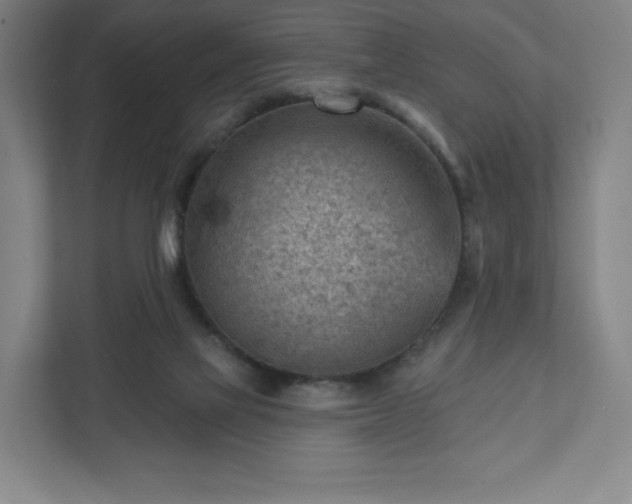 X0000111940069200908031146