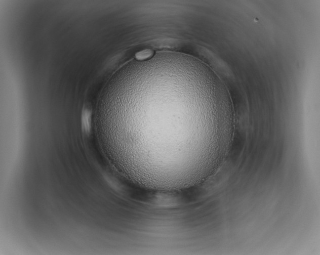 X0000111940070200908031146