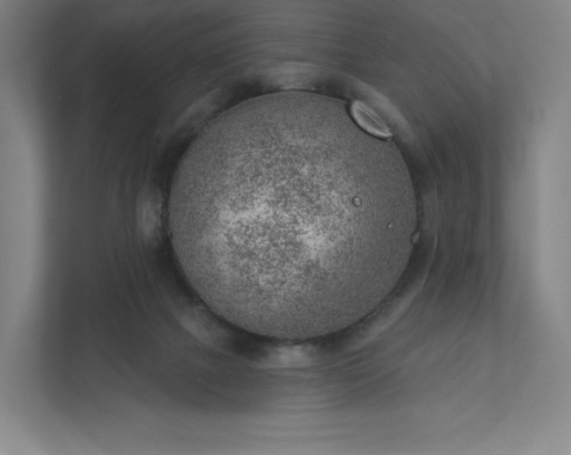 X0000111940073200908031146