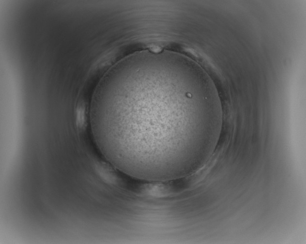 X0000111940074200908031146