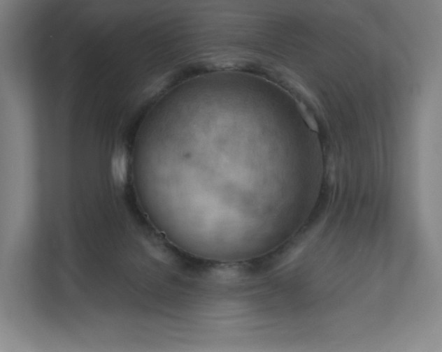 X0000111940076200908031146