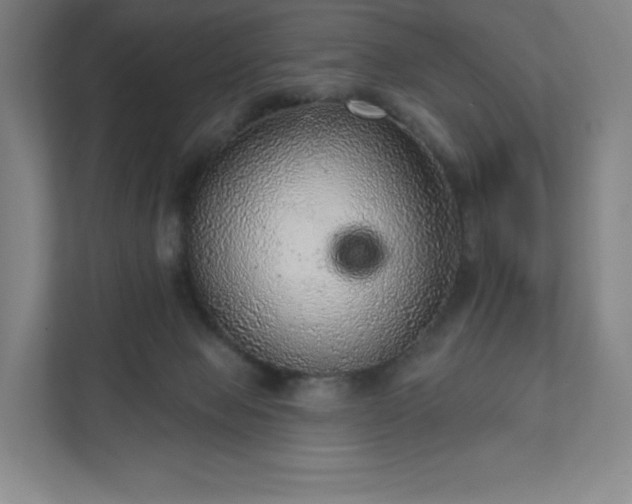 X0000111940077200908031146