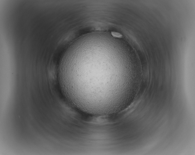 X0000111940078200908031146